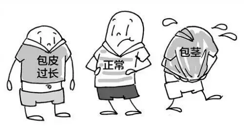 男生下面的“皮衣”究竟该不该割?