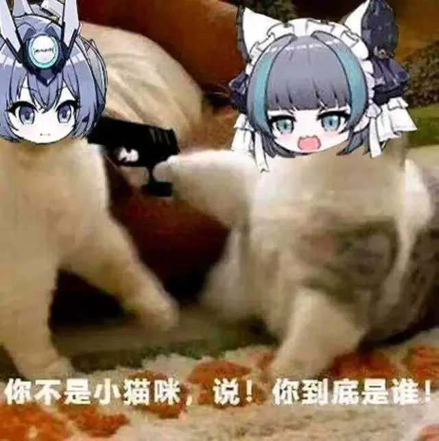 变性后啪啪还会有感觉嘛?