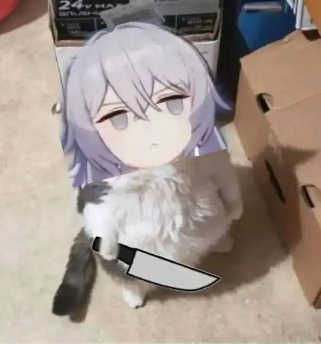 使用女用避孕套会更爽嘛?