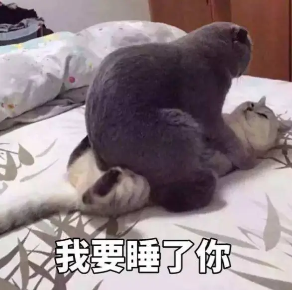 啪啪爽还是手冲爽?