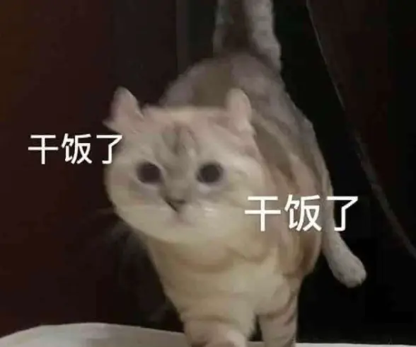 啪啪爽还是手冲爽?