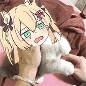 丁丁勃起,为啥有人翘的高,而有人翘的却很低?